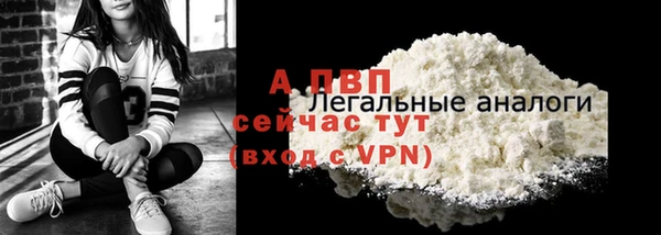 стаф Балахна