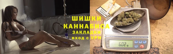 стаф Балахна