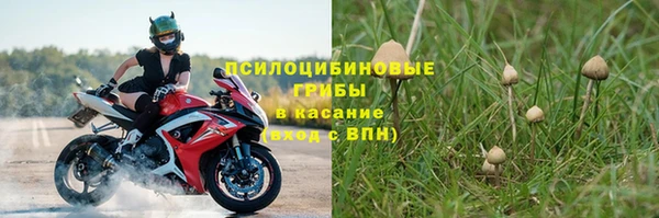 твердый Белокуриха