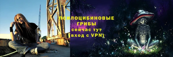 твердый Белокуриха