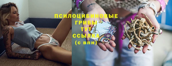 spice Беломорск