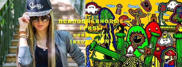 spice Беломорск