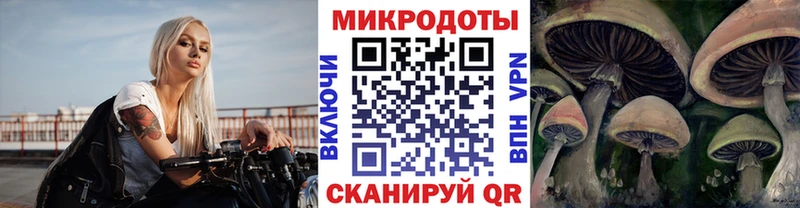 гидра tor Обь Псилоцибиновые грибы мицелий