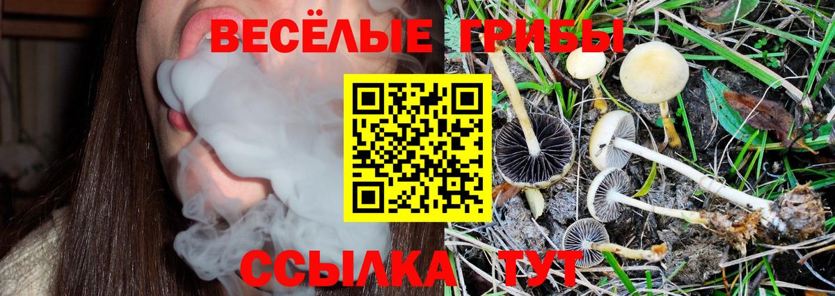 Галлюциногенные грибы мицелий Обь