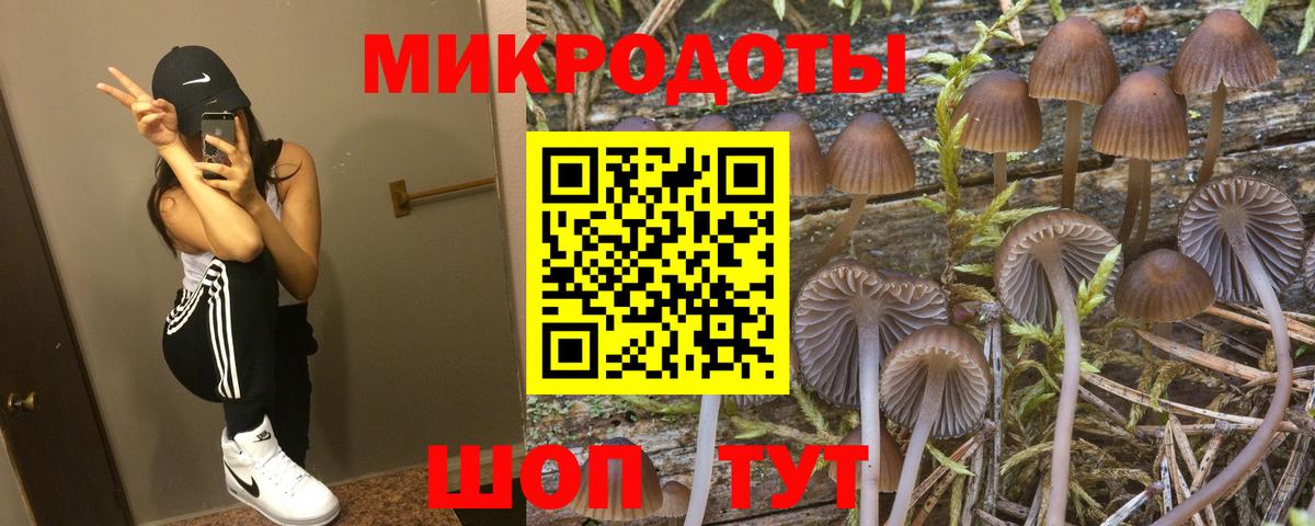 Обь  даркнет сайт  Вход с VPN  Галлюциногенные грибы прущие грибы 