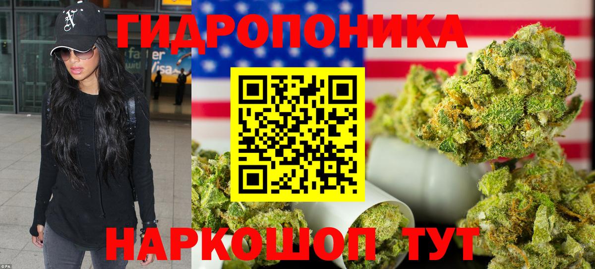 Канабис SATIVA & INDICA Обь